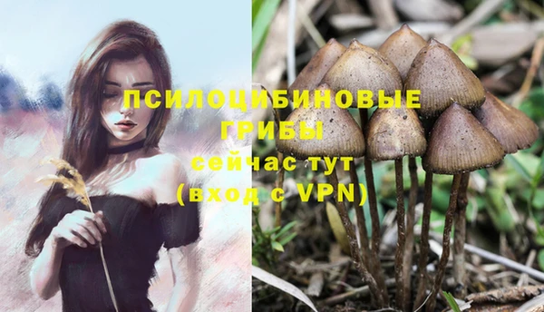 mix Верея