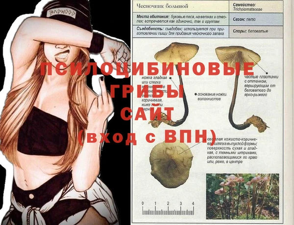 mix Верея