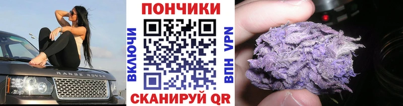 Канабис ГИДРОПОН  Пушкино 